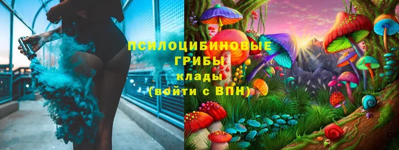 Псилоцибиновые грибы MAGIC MUSHROOMS  купить наркотики цена  Астрахань 